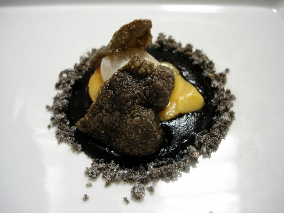 Hay una vieira en la luna