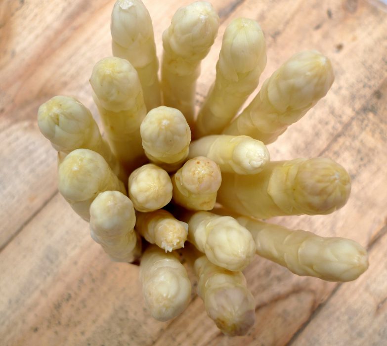 Espárrago de Tudela de Duero 3