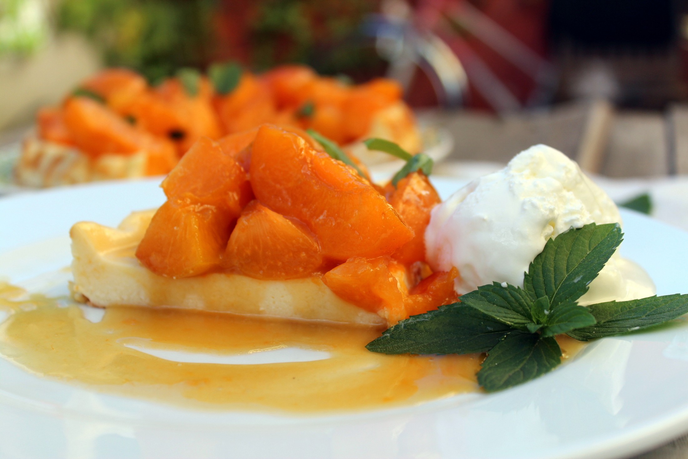 Tarta de queso y albaricoques