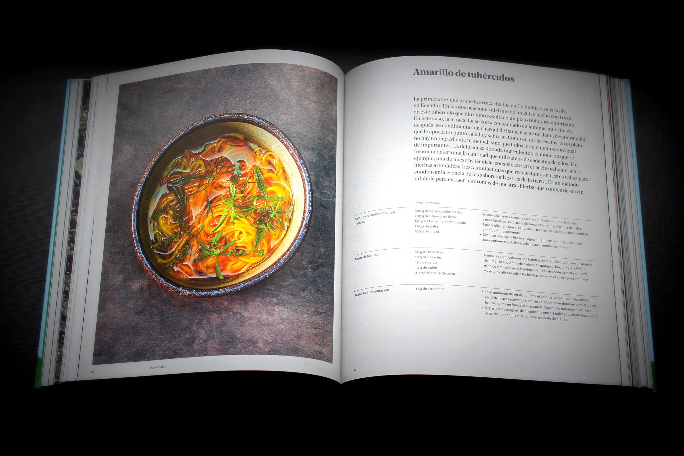 Central, el esperado libro de Virgilio Martínez,