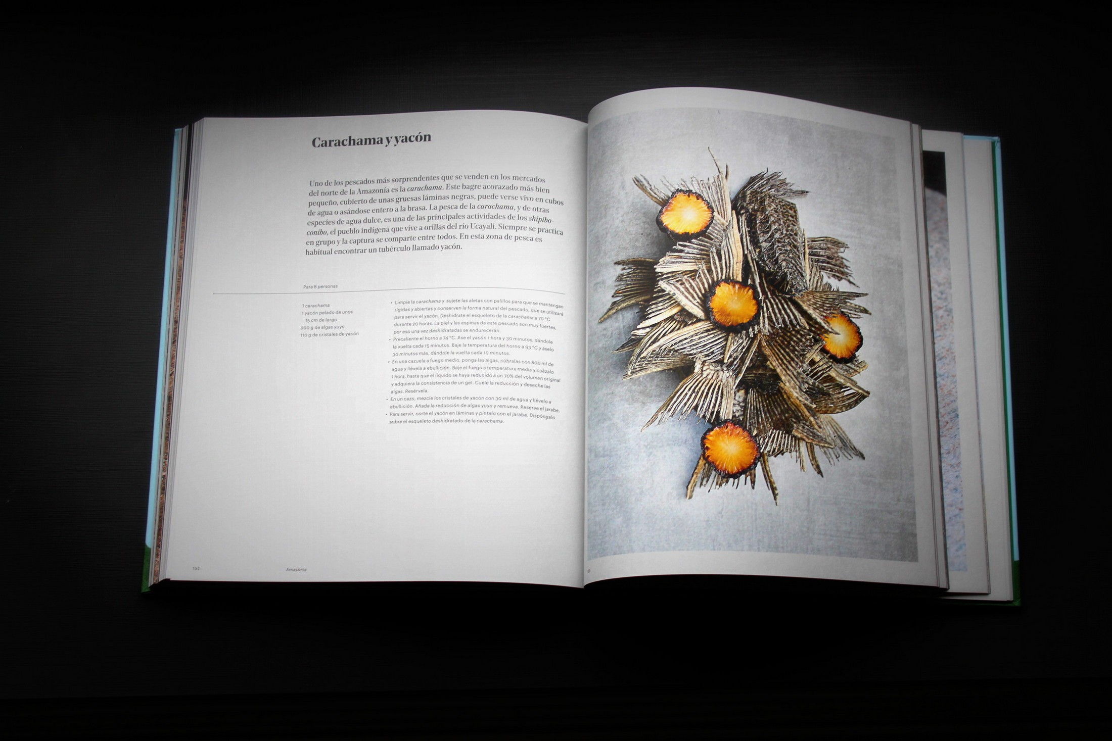 Central, el esperado libro de Virgilio Martínez,