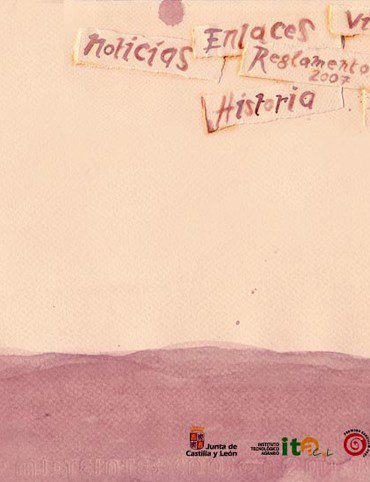 Premios Zarcillo de 2007