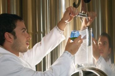 Escuela del Aceite 2.0