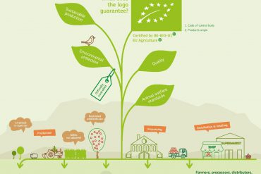 THE ORGANIC LOGO OF THE EU