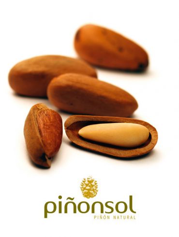 Piñón blanco piñonsol
