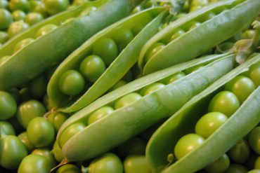 Guisantes verdes