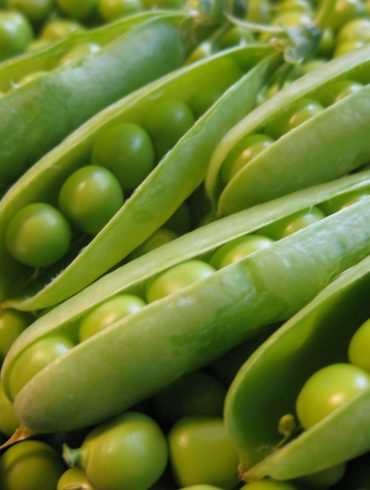 Guisantes verdes