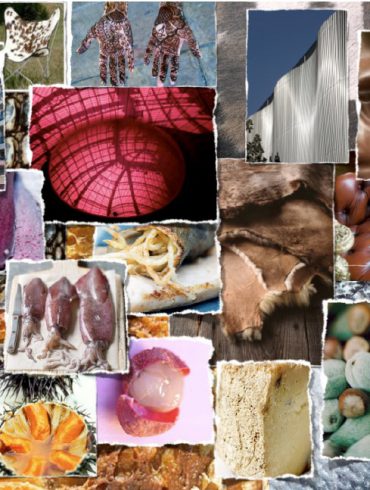 Paris des chefs 2012