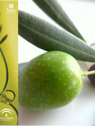 X encuentro internacional de la cocina del aceite de oliva