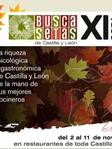 Busca Setas 2012 - logo