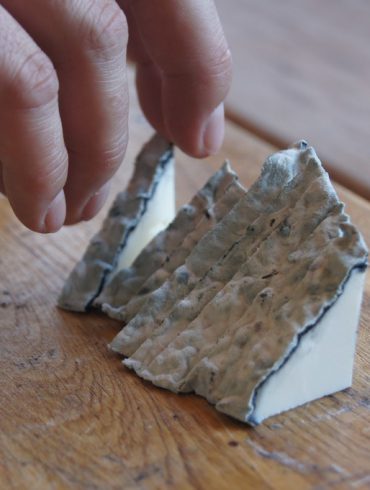 Queso cantagrullas (15)