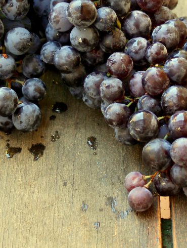 Uvas negras-1