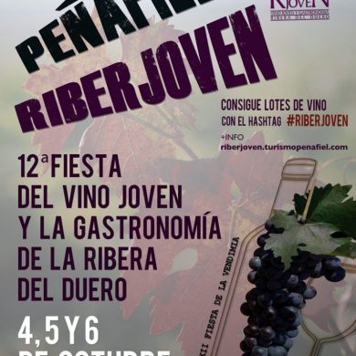 CARTEL RIBERJOVEN-2013