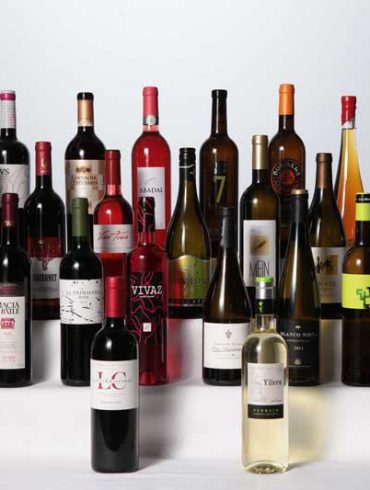 Colección de Botellas de Vino