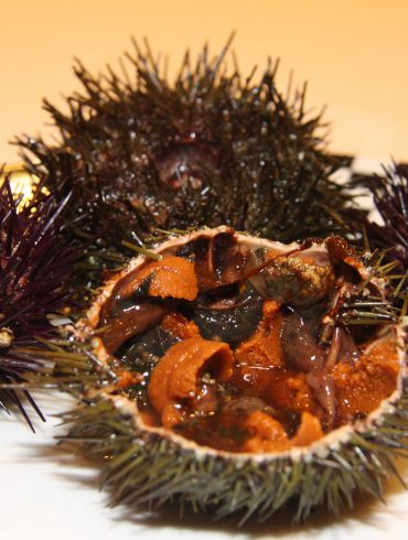 Jornadas Gastronómicas del Oricio de Gijón 2014