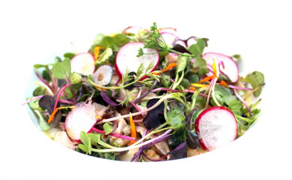 ensalada de pollo, trigo tierno y crema de apio con germinados