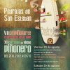 Pincho Piñonero 2015 Cartel