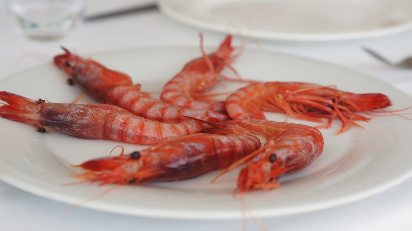 Gamba Roja Ibicenca (Sa Nansa)