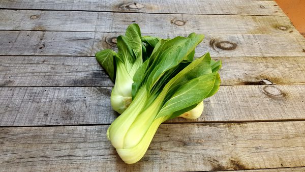 PAK CHOI