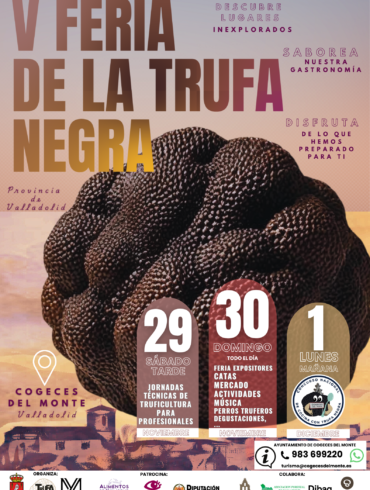 FERIA DE LA TRUFA